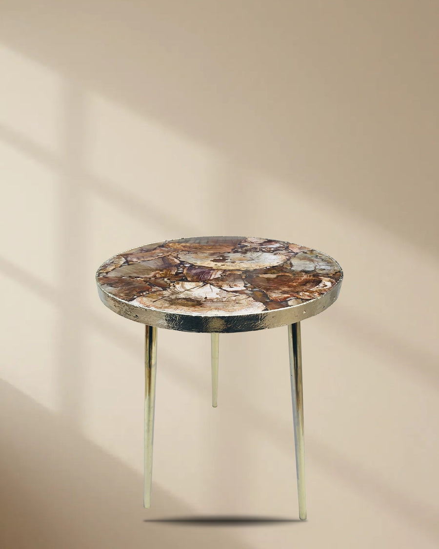 Petrified Wood Side Table, Round Top